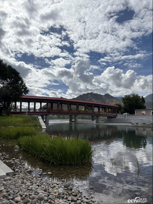 行走在高原之上 觸摸新時(shí)代幸福西藏的脈搏